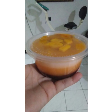 

Dessert Pudding Mango 300ml