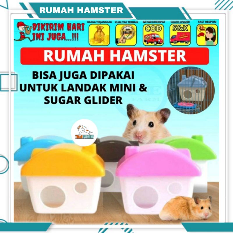 Rumah Hamster Premium / Tempat Tidur Hamster / Kandang Hamster / Aksesoris Hamster