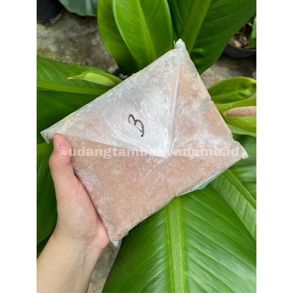 

IKAN TENGGIRI GILING GRADE B