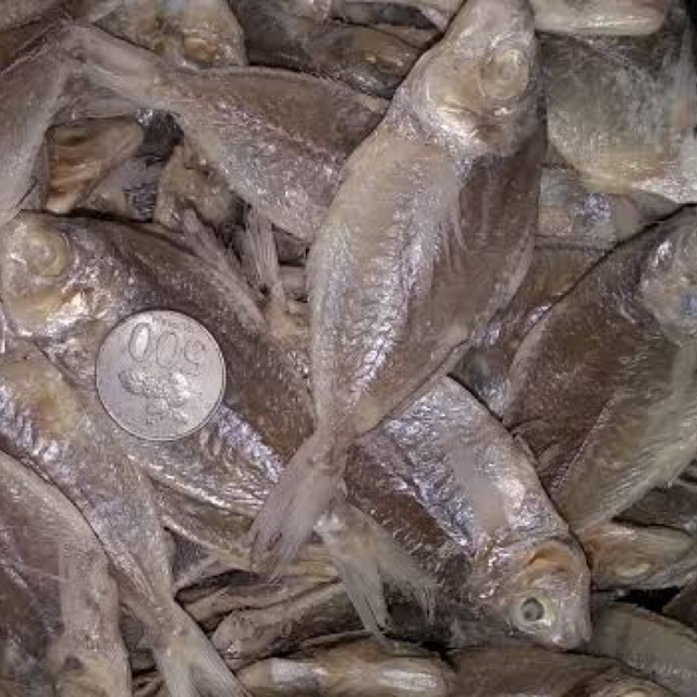 

Ikan Asin Perak Medan Super Asli Belawan 500gram
