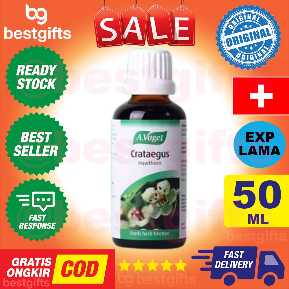 A VOGEL CRATAEGUS KESEHATAN FUNGSI JANTUNG PENINGKATAN ALIRAN DARAH ARTERI KORONER 50 ML