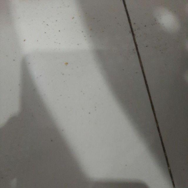 Fungisida Embun Tepung Nimrod Bupirimat 500 Ml Dr Royal Agro