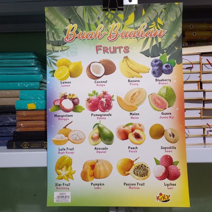 Poster Edukasi Buah-buahan / Fruits - Poster Buah