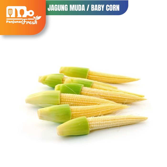 

JAGUNG MUDA / JAGUNG SEMI / BABY CORN 250 Gram SAYURAN SEGAR FRESH