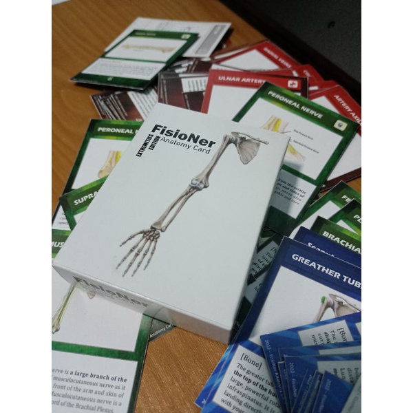 Kartu Anatomi Tubuh Manusia - fisioner anatomy card - model pembelajaran anatomi untuk mahasiswa kes