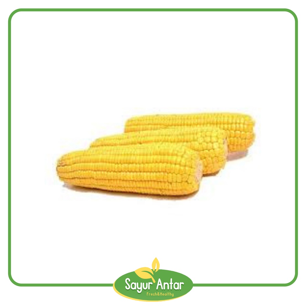 

Jagung Manis 500 gr | Sayur.Antar | Free Ongkir Bandung Cimahi