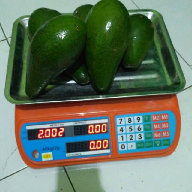 

Alpukat mentega jumbo 2 kg isi 5 sd 6