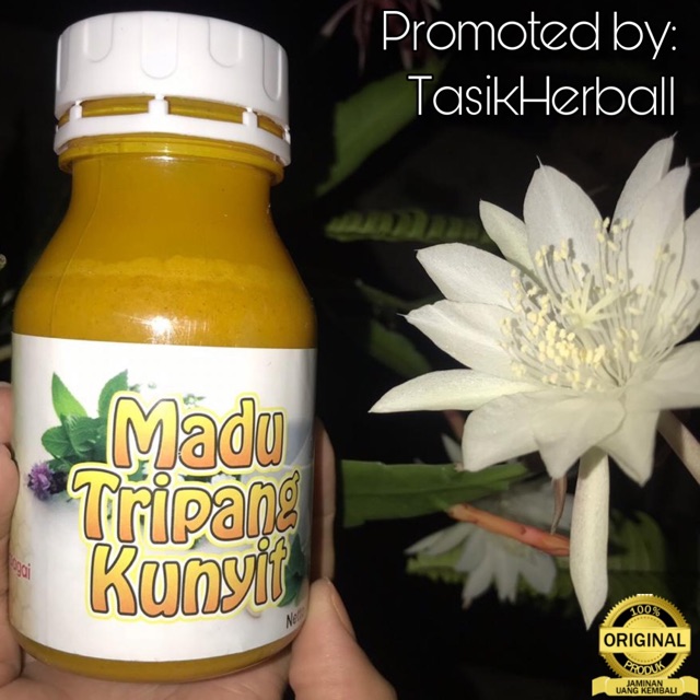 MADU KUNYIT TRIPANG MAAG TERIPANG.