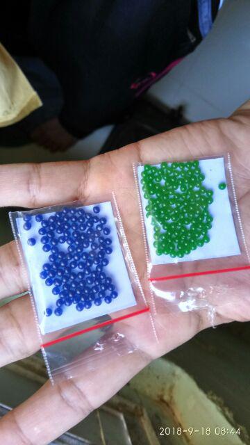 Media Tanam Hydrogel Pengganti Tanah Dan Cantik Untuk Indoor