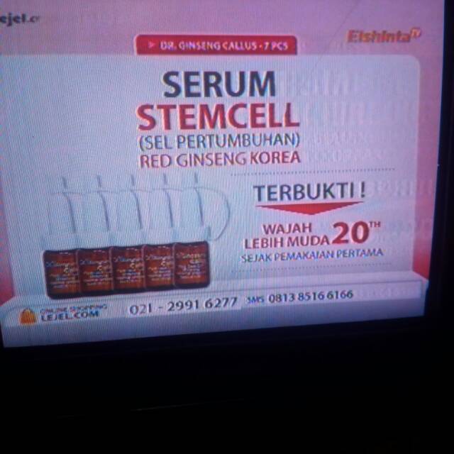 Stem cell serum