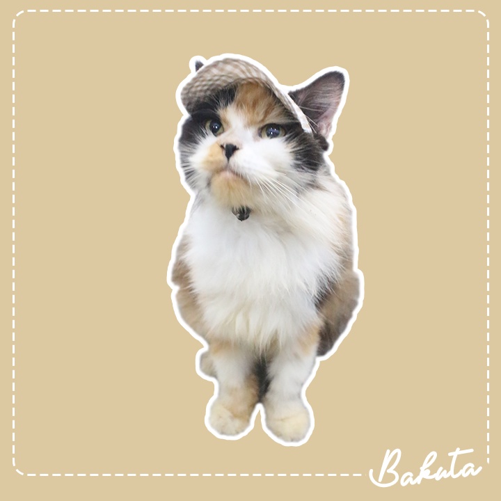 Topi Kucing dan Anjing Lucu motif Bokumo Hat adult dan kitten Ada Lobang Telinga - Baju Kucing Tangerang