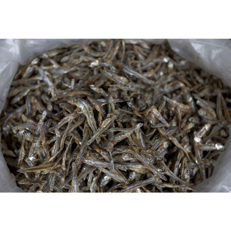

ikanasinteri500gram