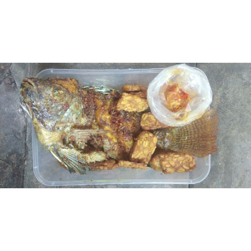 

Ayam ikan matang bonus sayuran freeongkir jakarta bogor depok tangerang bekasi bandung jogja solo semarang surabaya malang preorder