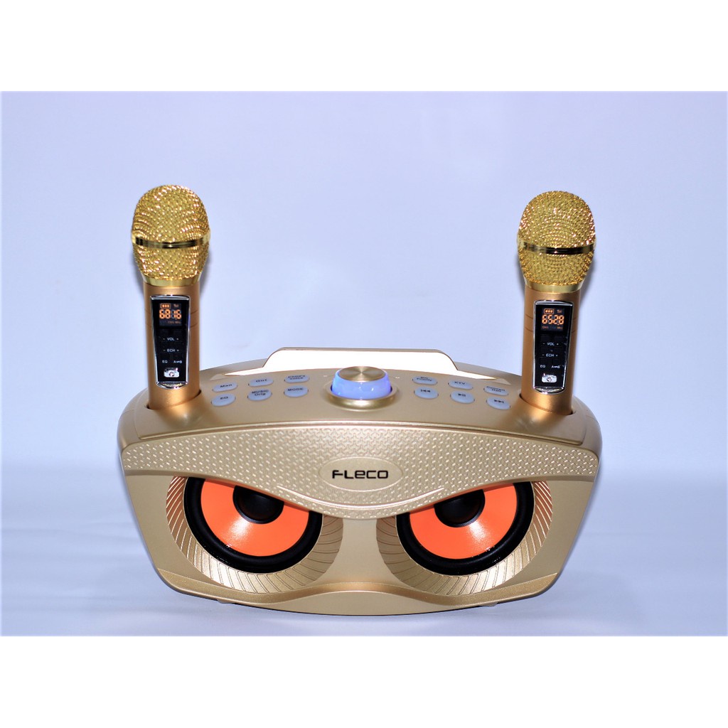 FLECO FL 311 Karaoke Speaker dengan 2 Mikrofon Bluetooth