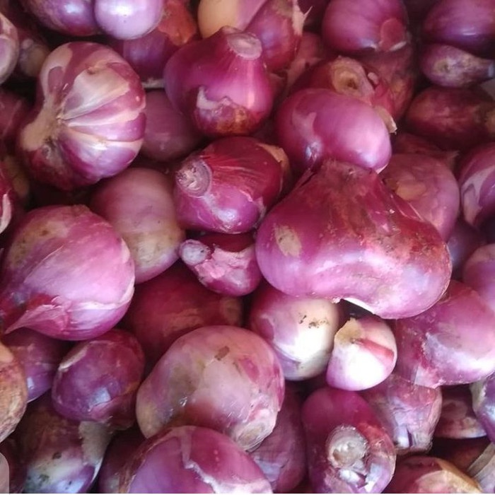 

Bawang Merah Kupas Sulawesi pasar online makassar