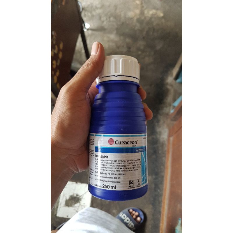 Curacron 500EC 250ml Insektisida hama ulat tanaman syngenta