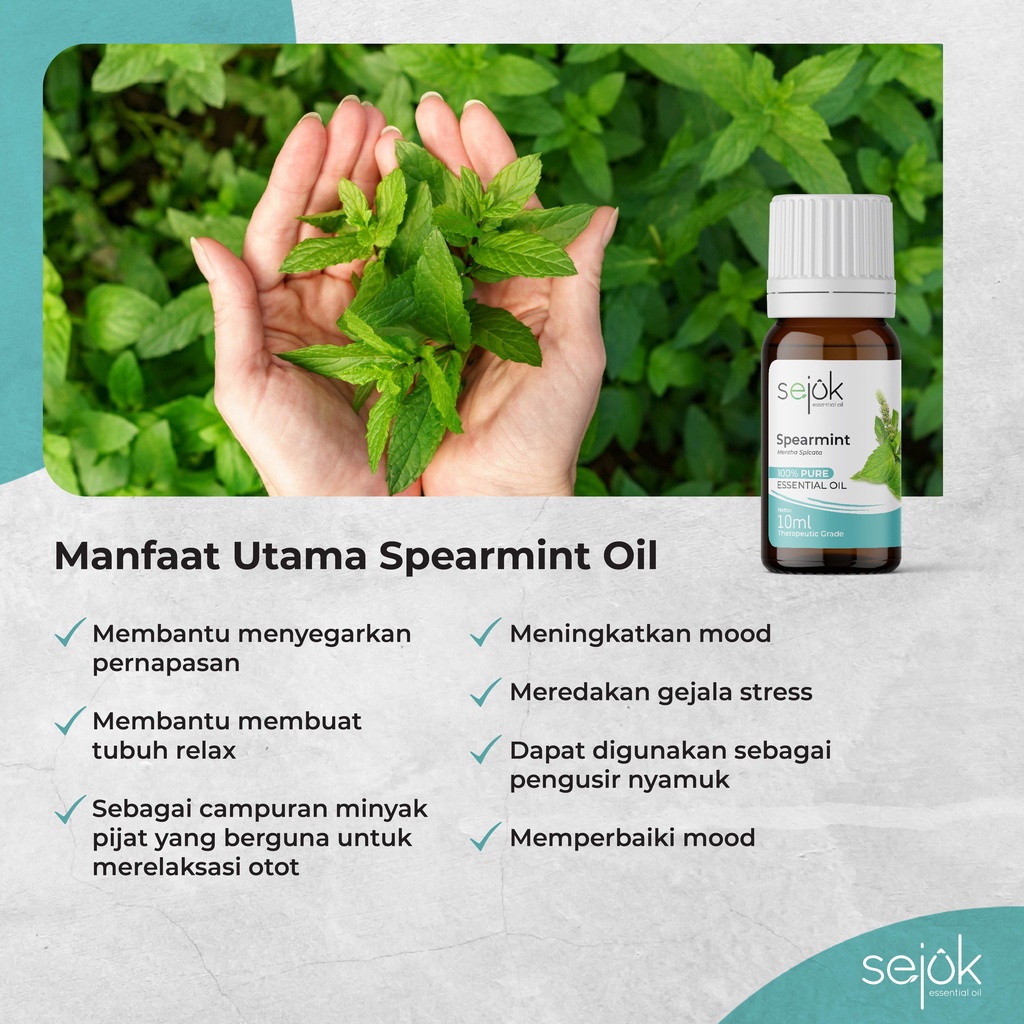 SEJUK Spearmint Essential Oil / Minyak Aroma Terapi Pure 100% - 10ml