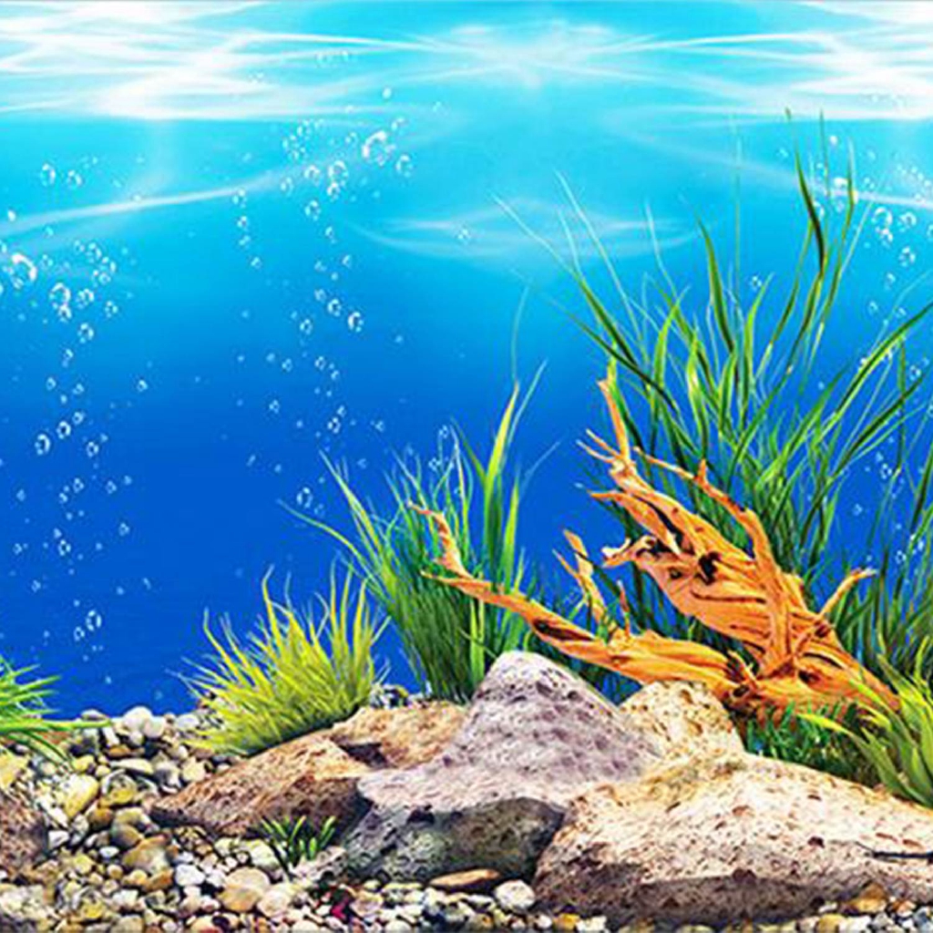 Aquarium background paper HD picture 3d three-dimensional