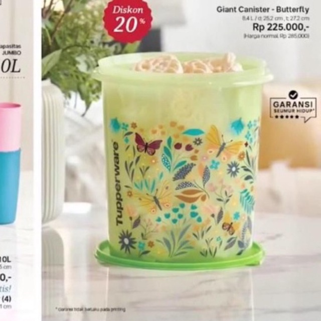 Giant canister hijau butterfly