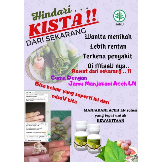 Jamu Manjakani Aceh LN , pil majakani aceh , manjakani aceh