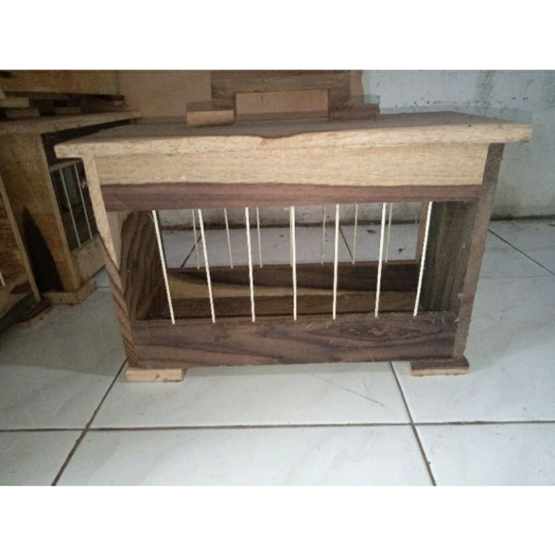 tempat pakan umbaran merpati ayam