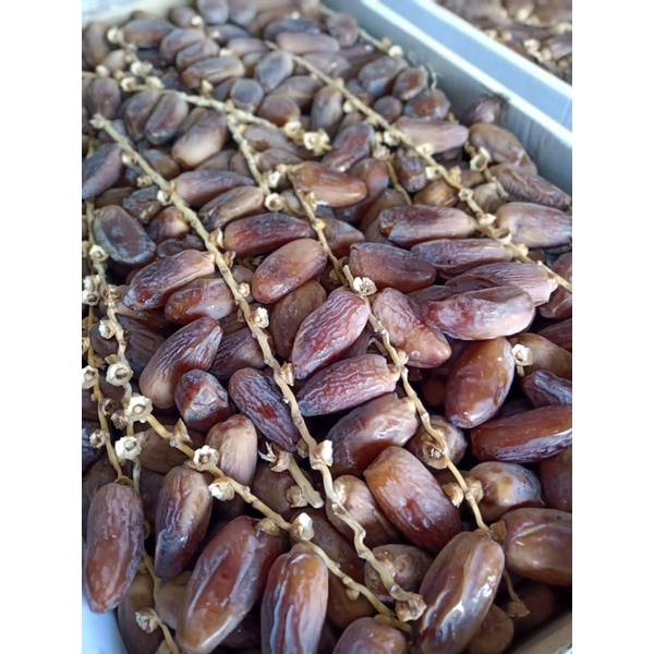 

kurma tunisia tangkai 5kg