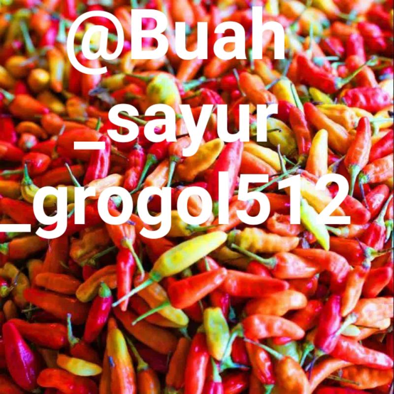 Cabe rawit merah / Cabe rawit _ 250gr