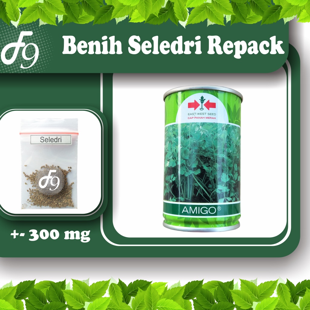 Benih Bibit Sayuran Seledri Murah Repack Seribuan