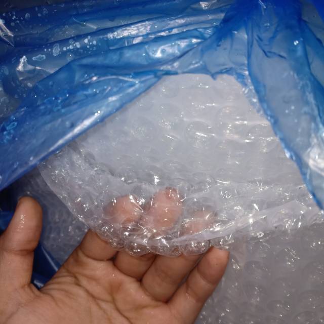 

Packing aman booble wrab