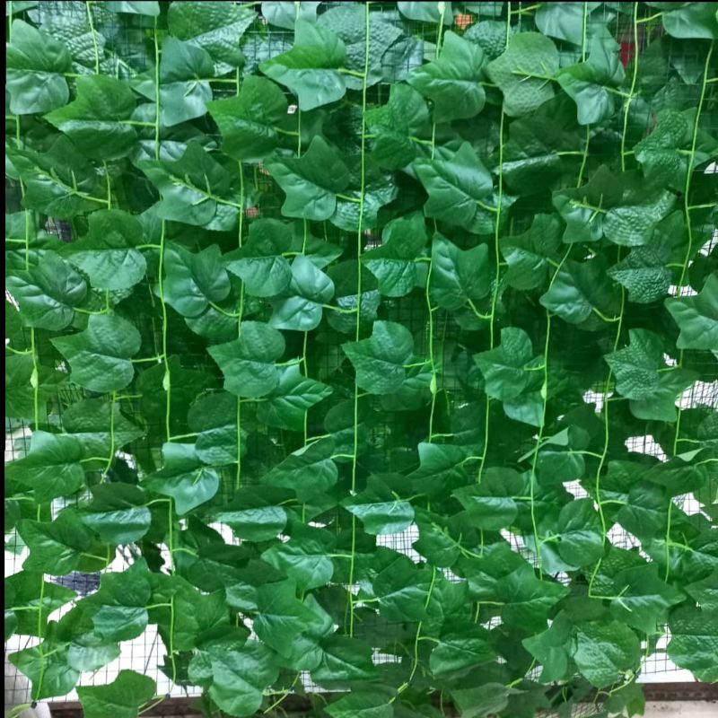 Nopa Florist tanaman daun rambat latex 1lusin / rambat palsu / rambat artificial / rambat plastik