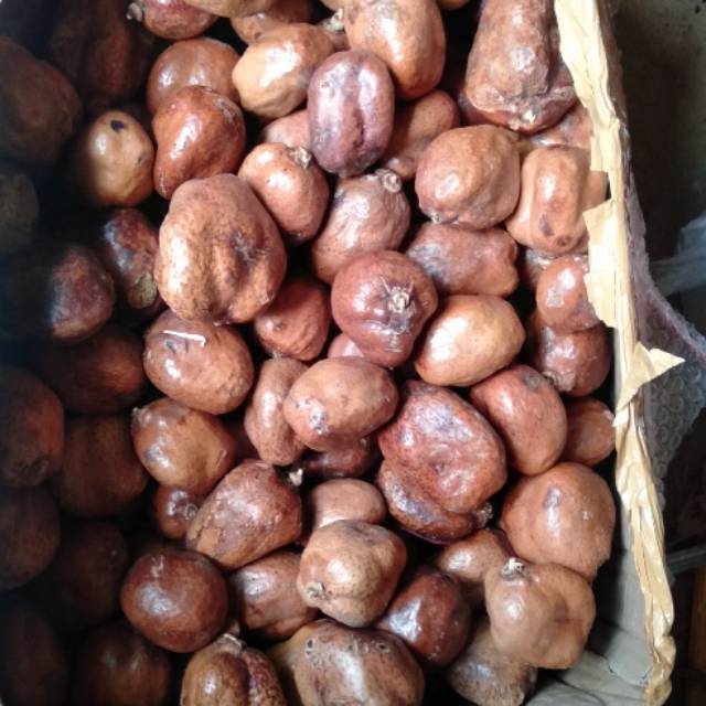 Buah Zuriat, Zuriat Promil Perbiji ORIGINAL