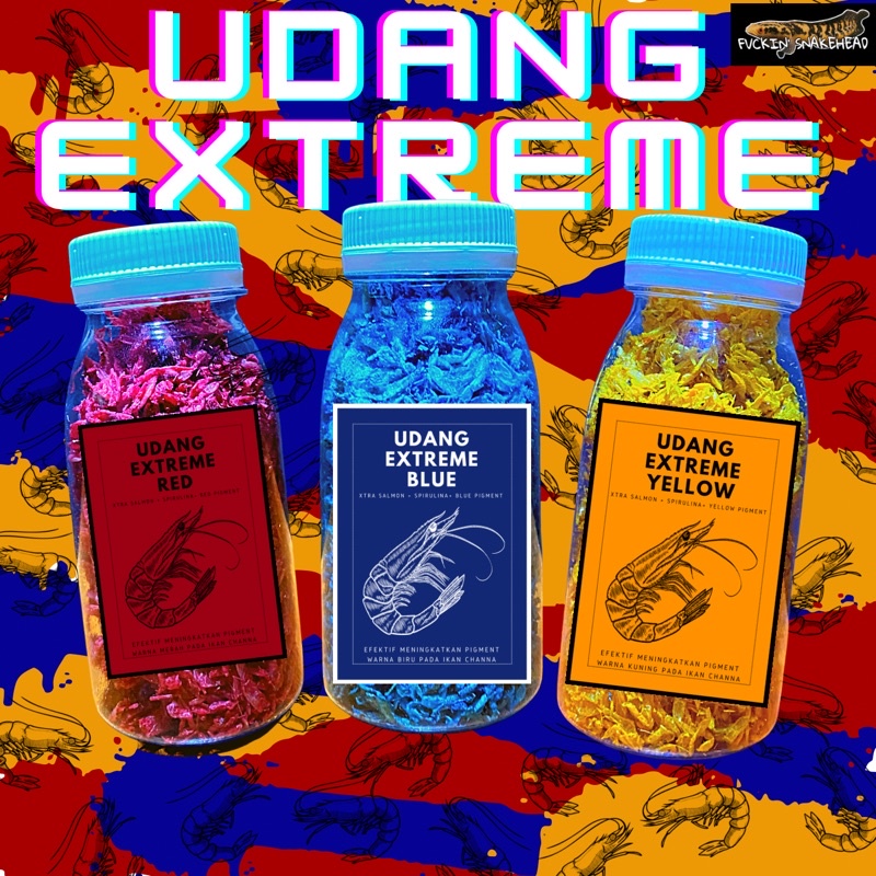 UDANG KERING EXTREME RED BLUE YELLOW PAKAN IKAN CHANNA MARU YELLOW SENTARUM AURANTI PULCHRA ORNA AND