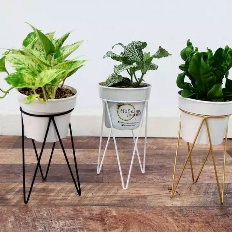 standing pot besi kaki V  / standing pot besi terpopuler