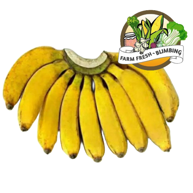 

Pisang Raja 1 Sisir