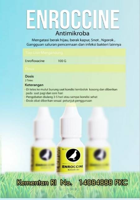 Enroccine By Vitarest Obat Berak Hijau Snot Ngorok Dan Lainnya