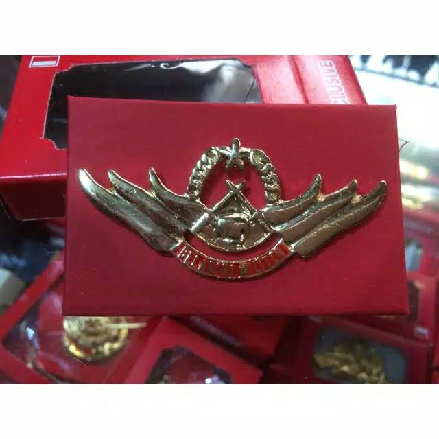 Brivet/wing militer