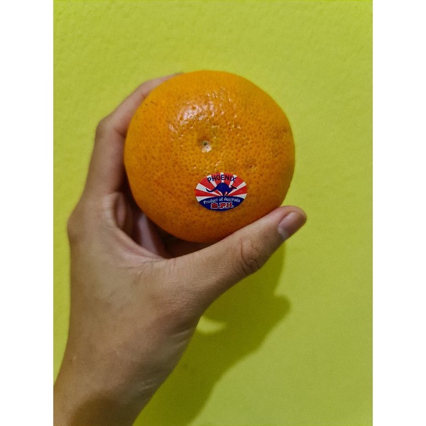 

Jeruk Kupas Import, Berat Per Klik +- 1kg Untuk Kota Cirebon, Ready untuk di gojek!