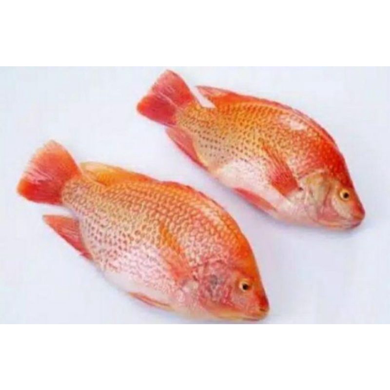 

Ikan NiLa 500gram-1000gram