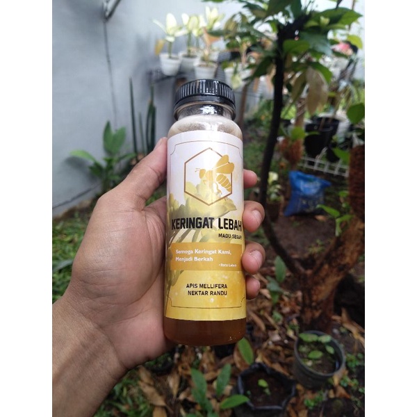 

Madu Murni Nektar Randu (Tanpa Sirupan)