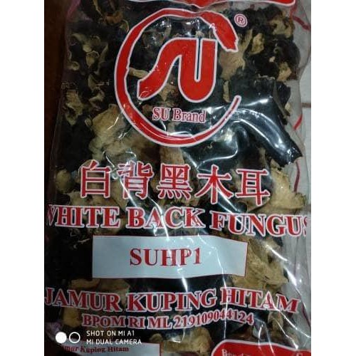 NEW JAMUR KUPING HITAM PUTIH JAMUR KUPING GAJAH TERMURAH