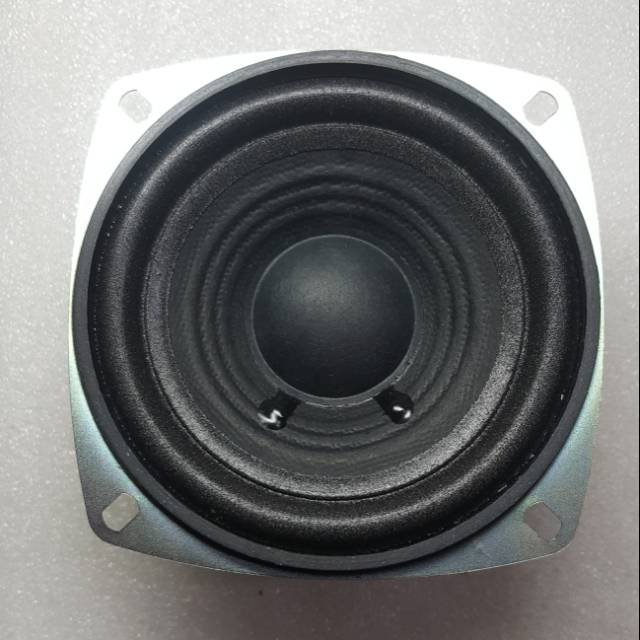 4 ohm 20 watt speakers