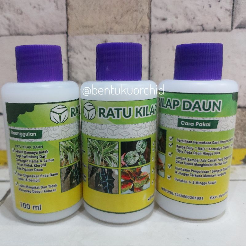 Pengkilap Daun Ratu Kilap Daun/Obat Pengkilap Daun Tanaman