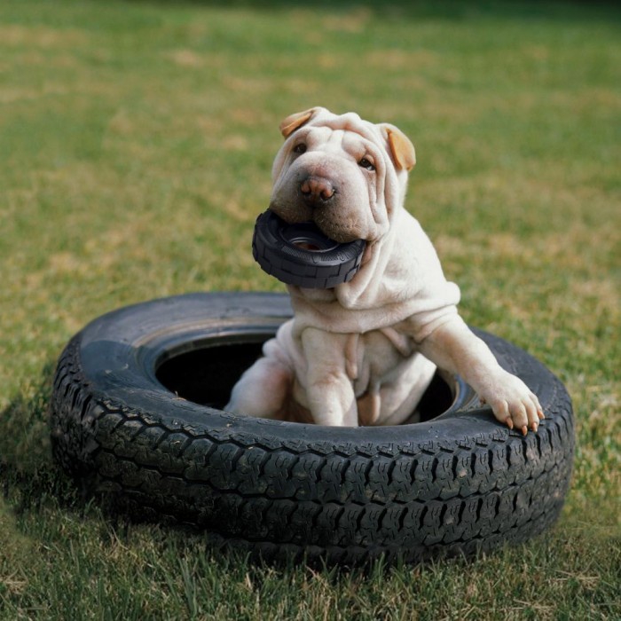 KONG Tires - Mainan Chew Toy Anjing Kuat Premium