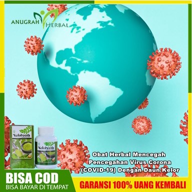 Obat Herbal Mencegah - Pencegahan Virus Corona (COVID-19) Dengan Daun Kelor | KELOREENA ISI 100 Kaps