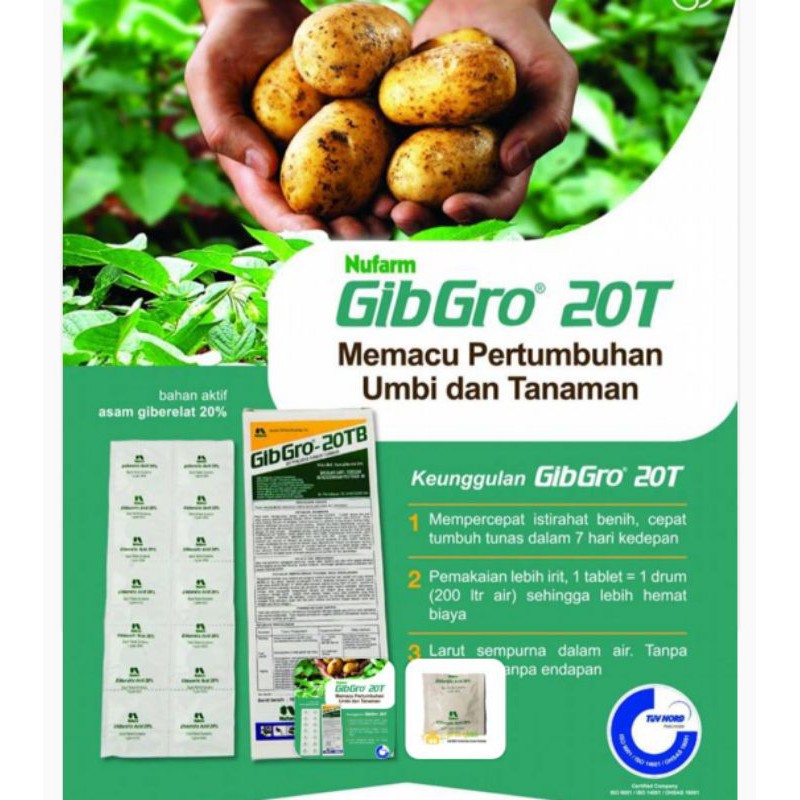 Gibgro 20T
