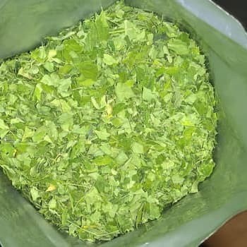 

New 500 gram teh daun kelor