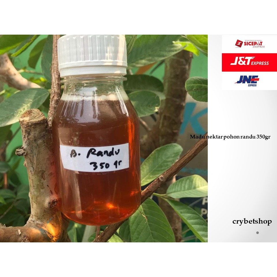 

Madu Nektar Pohon Randu 350gr Berkhasiat Z5Z4