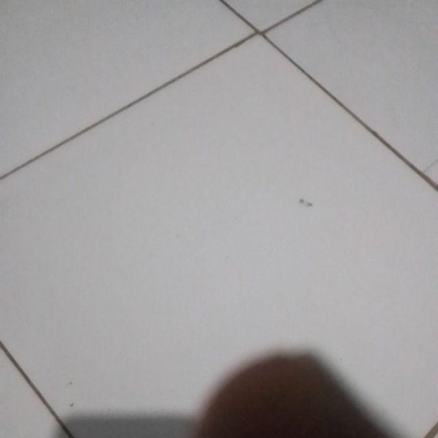 Wallpaper Dinding  Fungsi Cermin Kaca Cocok Untuk Stiker  