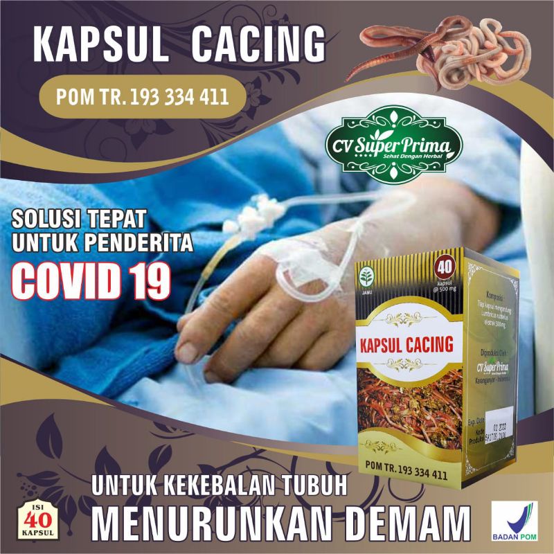 

CACING TANAH EKSTRAK 40 Kapsul - BANTU USIR VIRUS. ANTI DEMAM PANAS. ANTIPIRETIK. HERBAL ALAMI