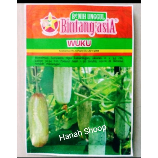 BENIH TIMUN WUKU/BENIH TIMUN MURAH